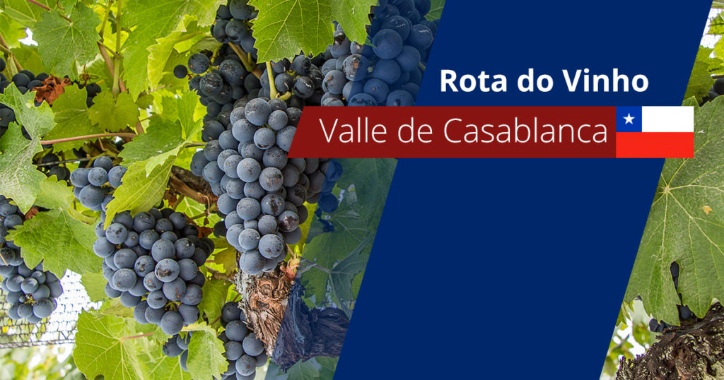 rota-vinho-valle-casablanca